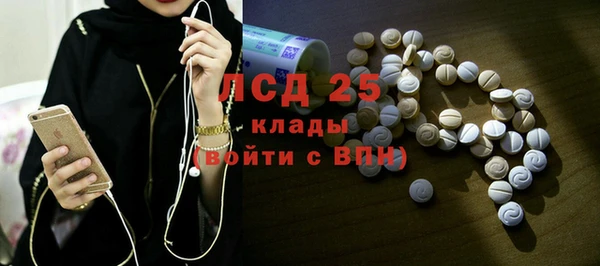 стафф Алексин