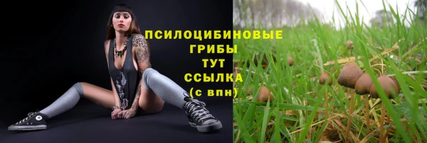 стафф Алексин
