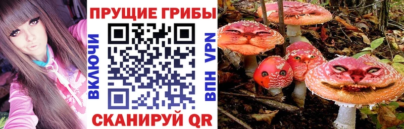 наркота  Красногорск  Псилоцибиновые грибы MAGIC MUSHROOMS 